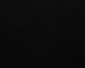 irisamore / lisatylor