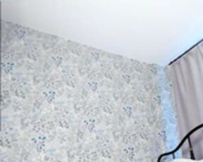 Libbyshepard 1_2025-01-23