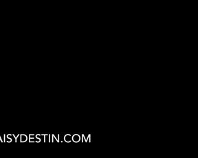 DaisyDestin 1