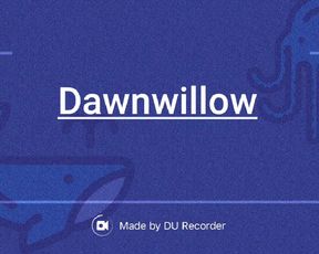 Dawnwillow try out live
