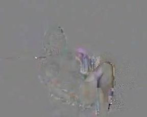 Fiona Brooks bandicam 2016-07-09 09-42-34-406