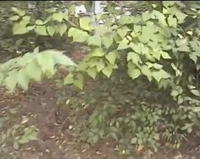 Beautiful Upskirt 23