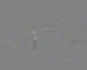 One From the Vault 38