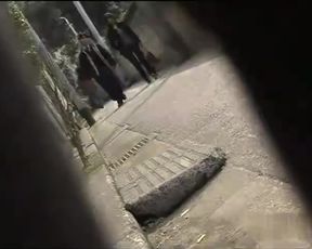 Japanesse Sharking Panties