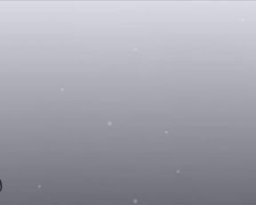 NevAmore 5
