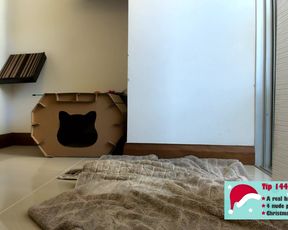 emma_lu1 December-18-2017 2