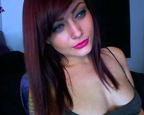 danispice pvt