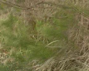 Aische Pervers Verschleppt in private premium video