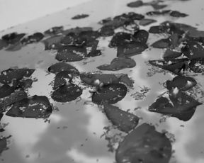 LilyIvy - Peppermint.and.Rose.Petals-Bampw.bath.tease-2017.05.25-720p