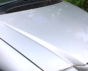 Arwen Datnoid - arwen loves her van too much