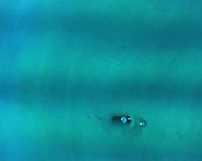 aubreemartin TanningBedCum