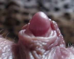 Big Clit Hiding in the Hairy Bush