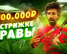 $27000 на СТРИЖКЕ ТРАВЫ! Работа иммигранта в США