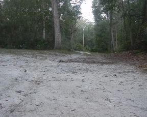 Frisky Blonde Striptease outside in Nature gets Topless with Nice Ass