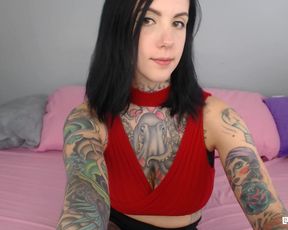 harliequinnx 068