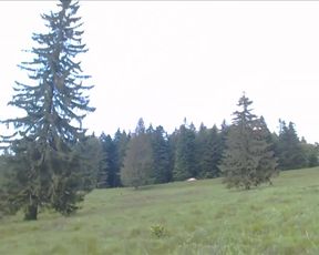 Caylin in the forest (VIDEO VIP)