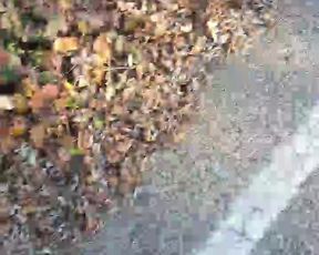 Intrigante66 webcam show 2020-01-05_14-53-37_593
