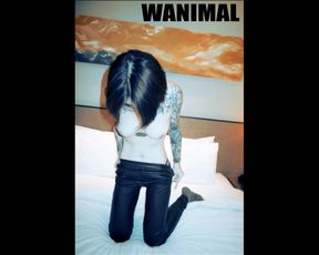色影大师王动WANIMAL最新官方出品VIP视图作品集之惊艳纹身法拉利女孩 香车美女 嫩鲍美乳 高清1080P