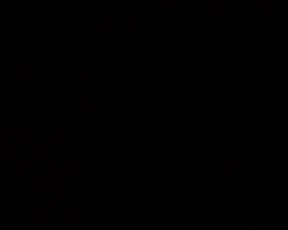 Leonessafree webcam show 2020-02-04_13-49-18_350