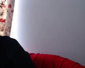 Tigerkittybabe webcam show 2020-02-08_11-38-43_203