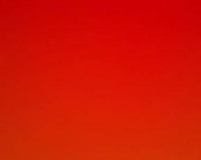 Leonessafree webcam show 2020-02-03_11-38-29_255