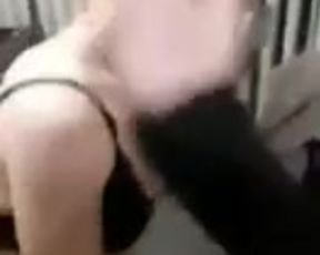 belfast bj
