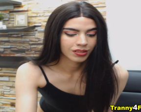 Seductive Brunette Shemale Hard Erect Cock