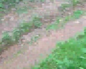 Thescerry webcam show 2020-03-20_16-31-47_943