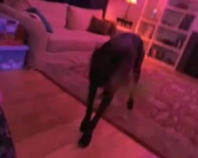 video 50