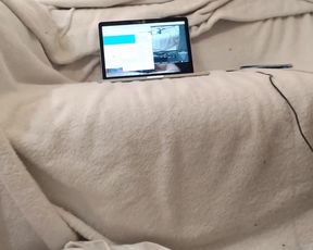 elisecat 04.01.2020