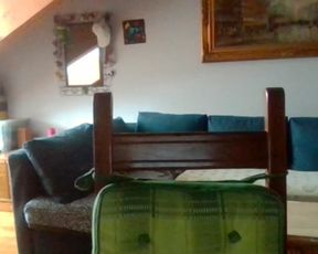 Lucestellata webcam show 2020-07-27 13-52-48 215