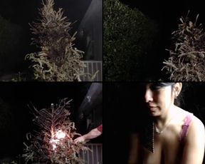 Gaygirl0009 cam recording 2016-12-29 055548