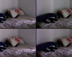 Candypuff cam recording 2017-01-21 083735