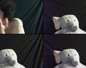 Cuddlychaos cam recording 2017-01-22 072127