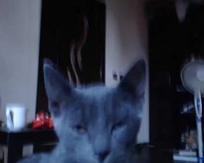 Killmemories cam recording 2014 September 01_09-29-33