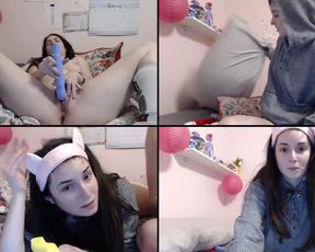 Dreammpup cam recording 2017-02-10 123728